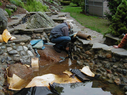 pond liner replacement