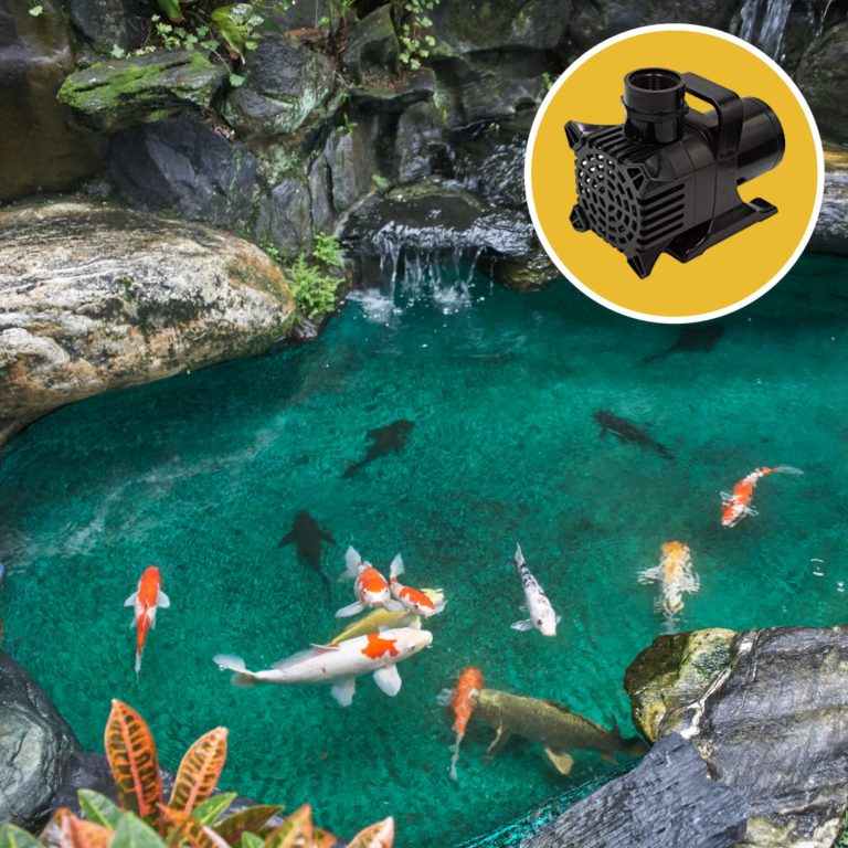 Submersible Pond Pump & External Pond Pump Differences Pond Armor