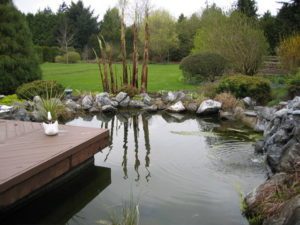 Pond Shield Primer - 1 Quart - Image 21