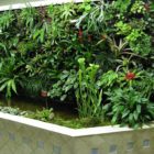 eco wall
