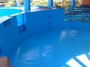 Large Dolphin Pool