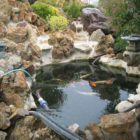Pond Shield Non-Toxic Epoxy Coating - Touch Up Kit - Image 20