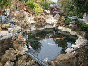 Pond Shield Primer - 1 Quart - Image 20