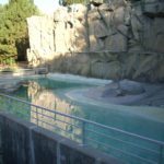 Sea Lion Pool