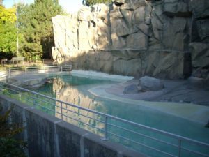Sea Lion Pool
