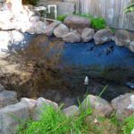 Small Backyard Pond