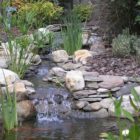 pond stream
