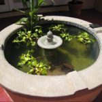 Small Tiled Fountain