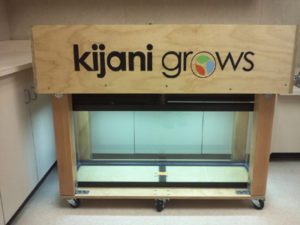 Kijani Grows