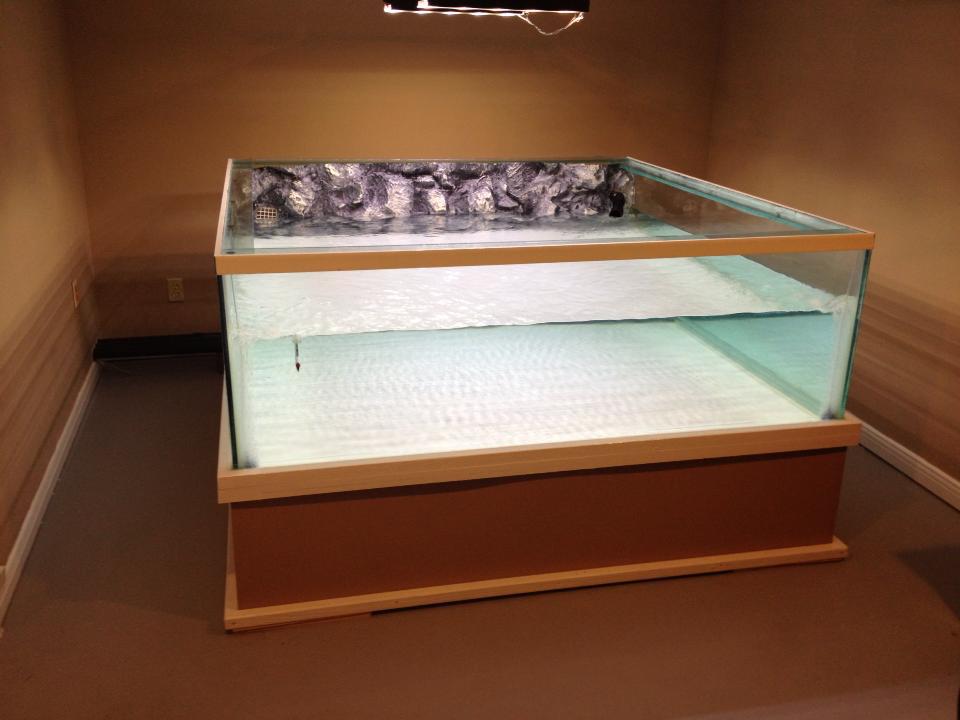 Plywood aquarium shop
