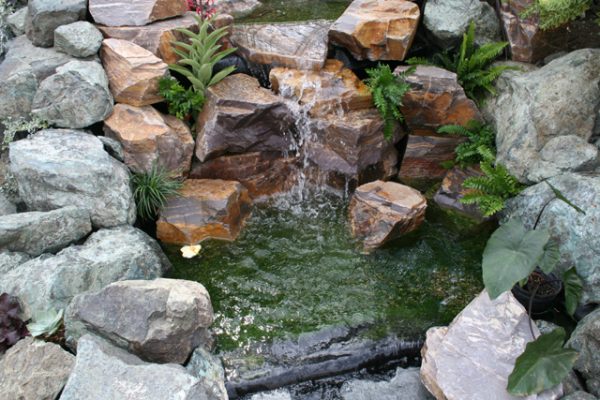 backyard stream pond