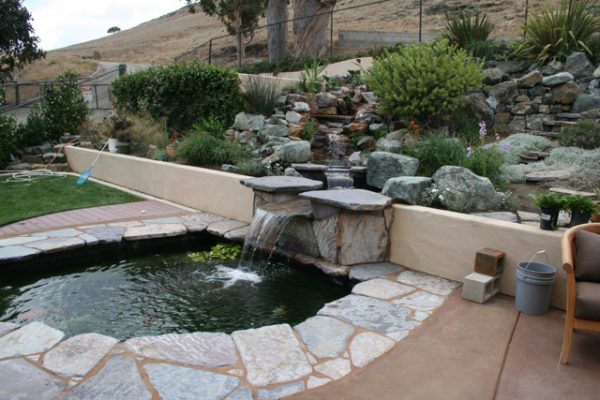 backyard stream and koi pond