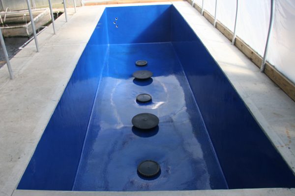 concrete pond sealed with blue pond shield epoxy