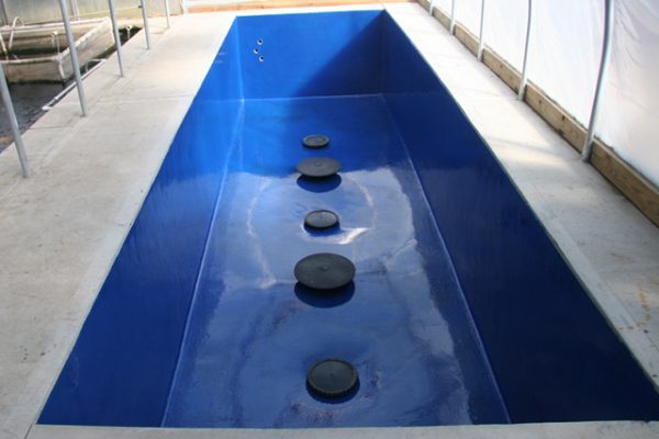 Estanque de concreto sellado con epoxi Pond Shield, color azul