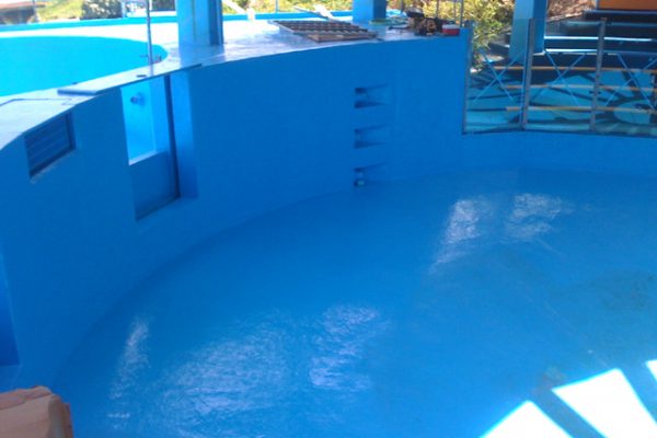 dolphin pool lined with non-toxic blue pond armor
