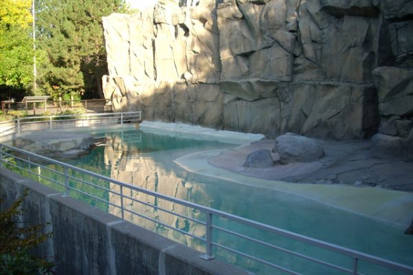 sea lion pool lined with non-toxic pond shield epoxy